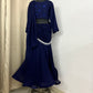 Blue stylish saree